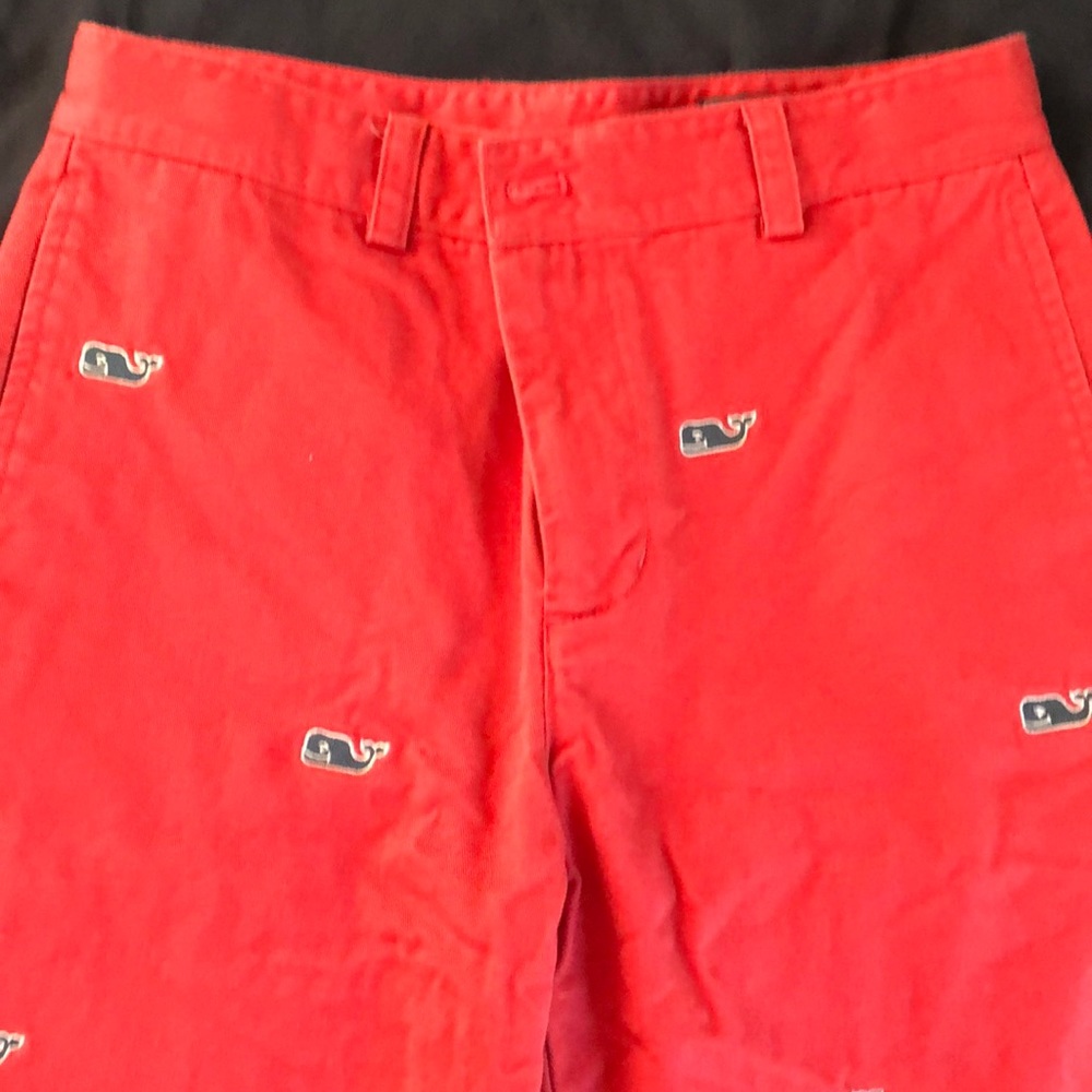 Vineyard vine short